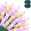 17.3 FT Battery Powered Orange & Purple Wire String Lights