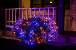 150 M5 LED Black Wire Net Lights (Orange & Purple) 9 150 M5 LED Black Wire Net Lights (Orange & Purple) -Halloween Decorations Store 81kKTILuxhL. AC SL1500