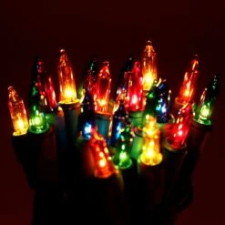 3 Set Of 100-Count Multi Color Christmas Lights -Halloween Decorations Store 81qxucTKaBL. AC SL1500