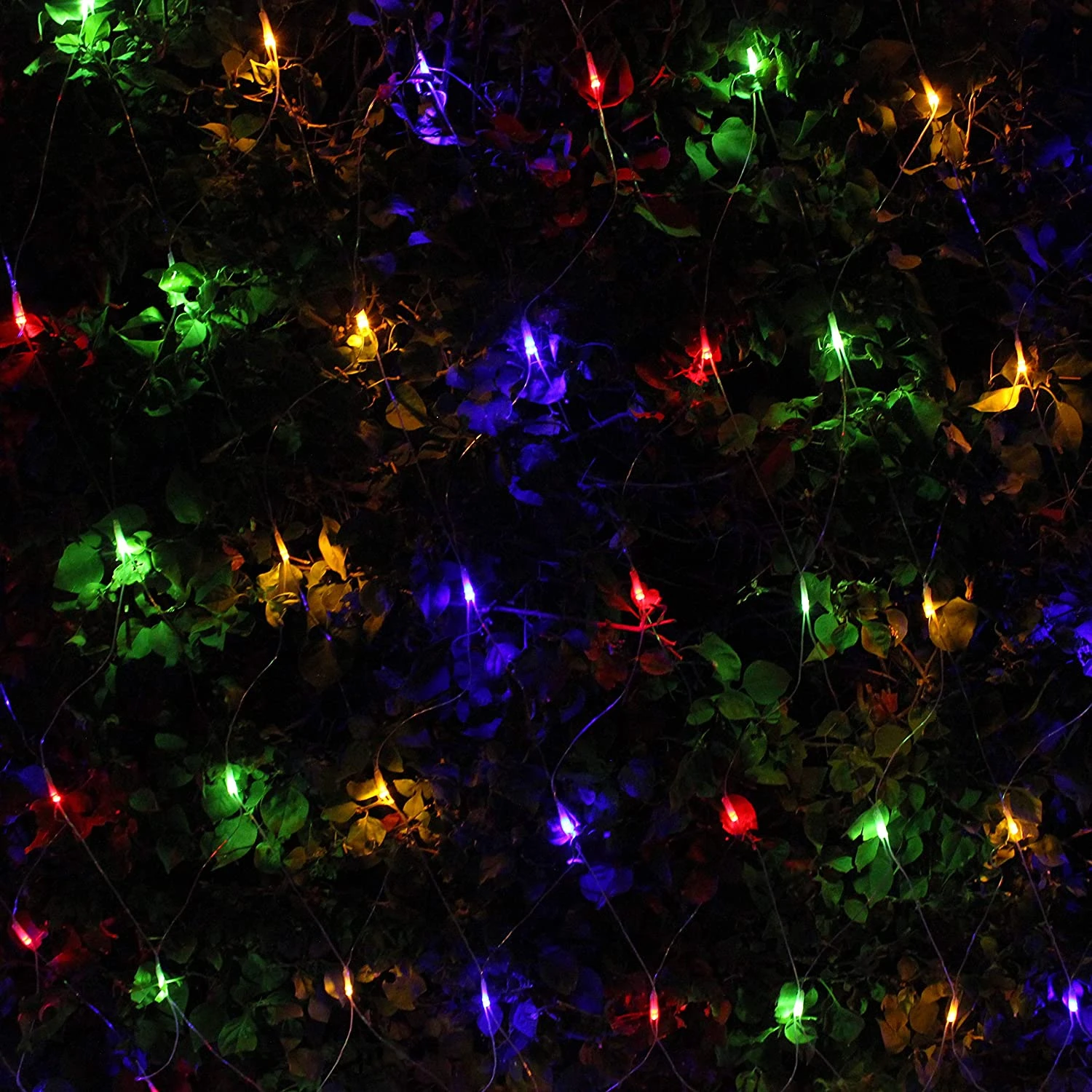 300 LED Christmas Lights Net Lights, Multicolor 3 300 LED Christmas Lights Net Lights, Multicolor