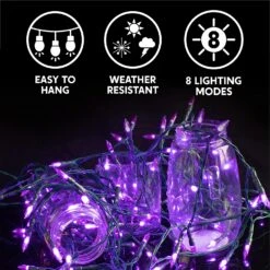 200 Purple LED Green Wire String Lights -Halloween Decorations Store 91Z3YPxpP1L. AC SL1500 1