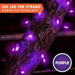 200 Purple LED Green Wire String Lights -Halloween Decorations Store 91fVqjcqCcL. AC SL1500