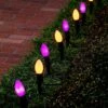 C9 Incandescent Green Wire Pathway Lights (Orange & Purple), 10 Pcs
