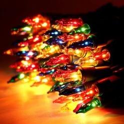 3 Set Of 100-Count Multi Color Christmas Lights -Halloween Decorations Store 91uOeK9O9rL. AC SL1500
