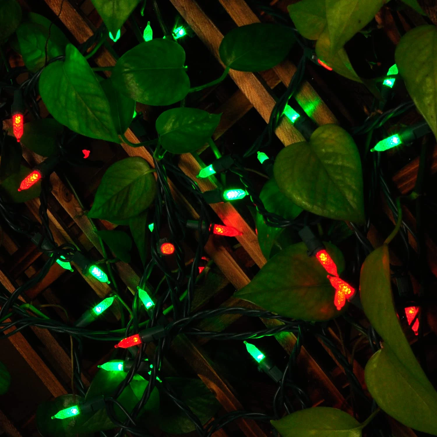 70 Red & Green M5 LED Green Wire String Lights - Image 3